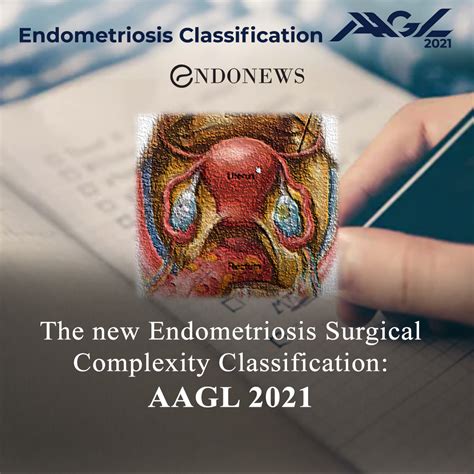 endometriosis specialist new orleans